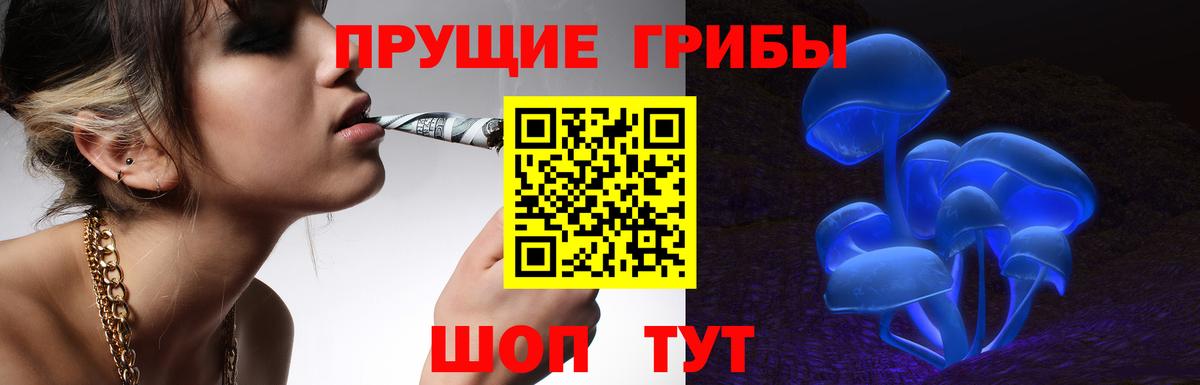 Галлюциногенные грибы GOLDEN TEACHER Старая Купавна